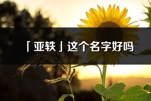 「亞軼」這個(gè)名字好嗎_亞軼名字寓意,含義
