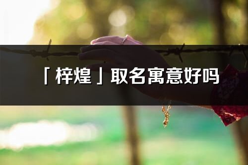 「梓煌」取名寓意好嗎_梓煌名字含義及五行