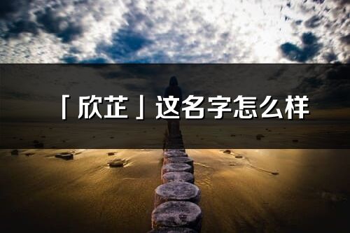 「欣芷」這名字怎么樣_欣芷的名字解釋