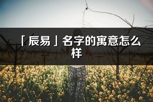 「辰易」名字的寓意怎么樣_辰易的出處