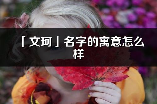 「文珂」名字的寓意怎么樣_文珂的出處