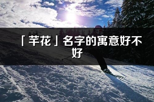 「芊花」名字的寓意好不好_芊花含義分析