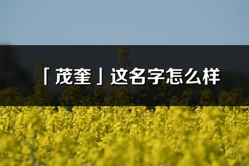 「茂奎」這名字怎么樣_茂奎的名字解釋