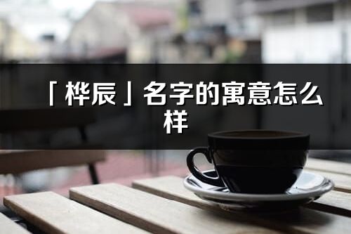 「樺辰」名字的寓意怎么樣_樺辰的出處