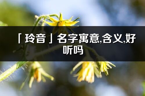 「玲音」名字寓意,含義,好聽(tīng)嗎_玲音名字分析打分