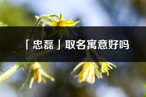「忠磊」取名寓意好嗎_忠磊名字含義及寓意