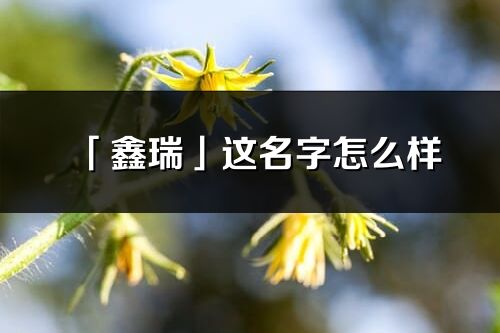 「鑫瑞」這名字怎么樣_鑫瑞的名字解釋