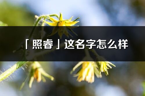 「照睿」這名字怎么樣_照睿的名字解釋