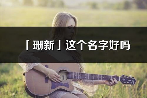 「珊新」這個名字好嗎_珊新名字寓意,含義